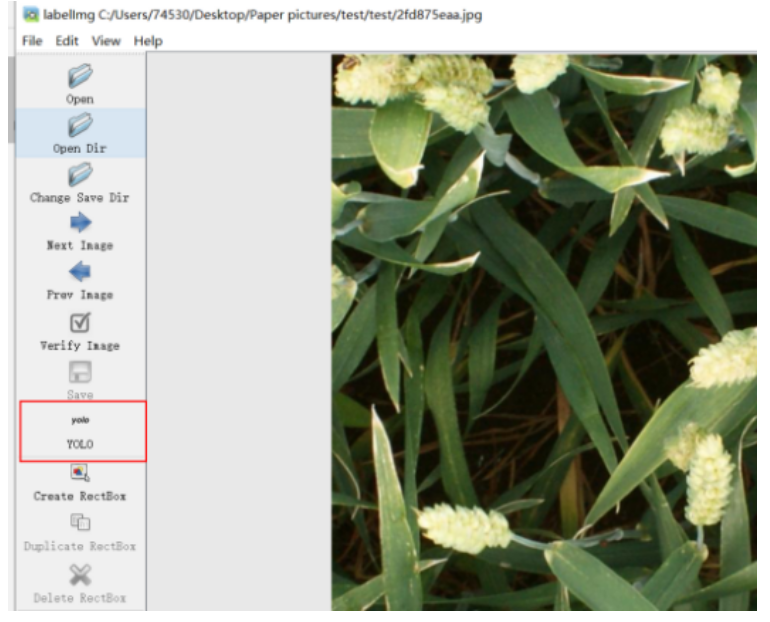 YOLOv5 从入门到部署之：训练私有数据并修改模型