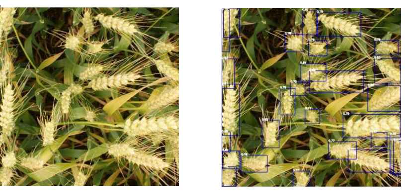YOLOv5 从入门到部署之：训练私有数据并修改模型